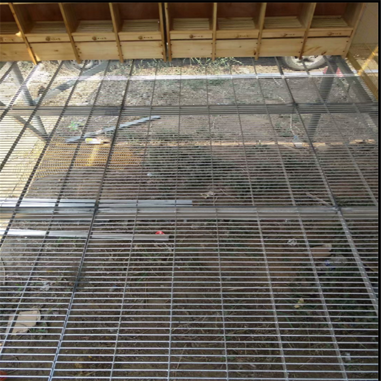 鴿舍地網格柵圖片3